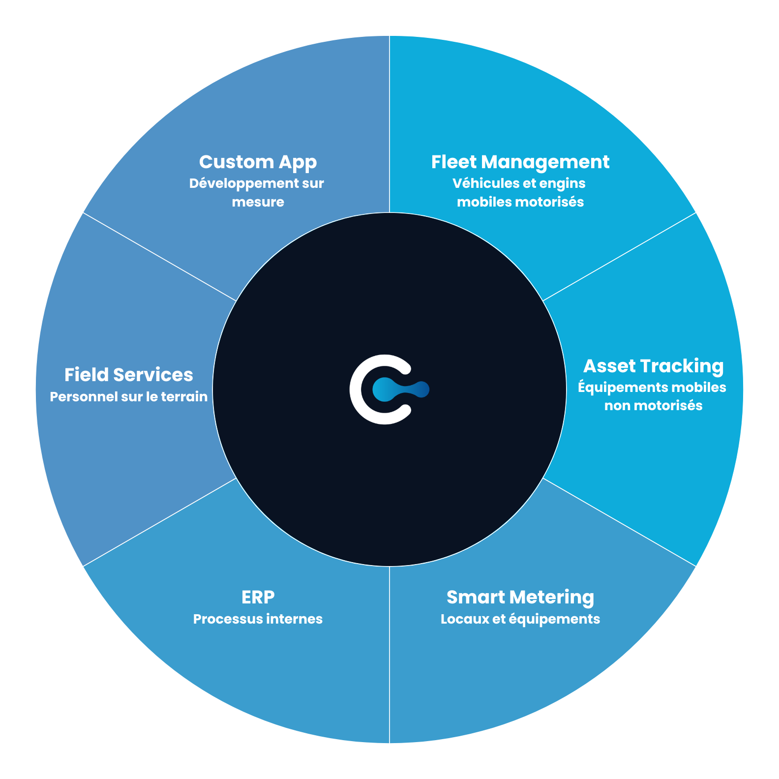Custom App Fleet Management Field Services ERP Smart Metering Asset Tracking
